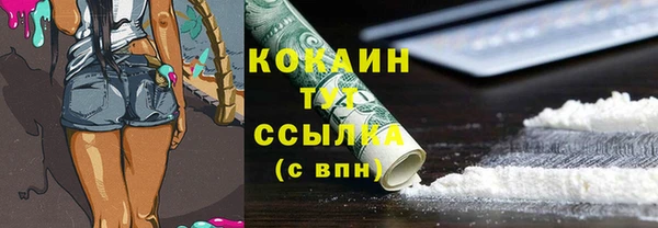 ПСИЛОЦИБИНОВЫЕ ГРИБЫ Лиски
