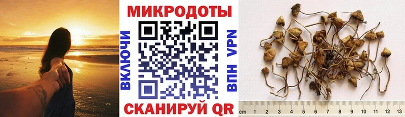 Галлюциногенные грибы GOLDEN TEACHER  Никольск 